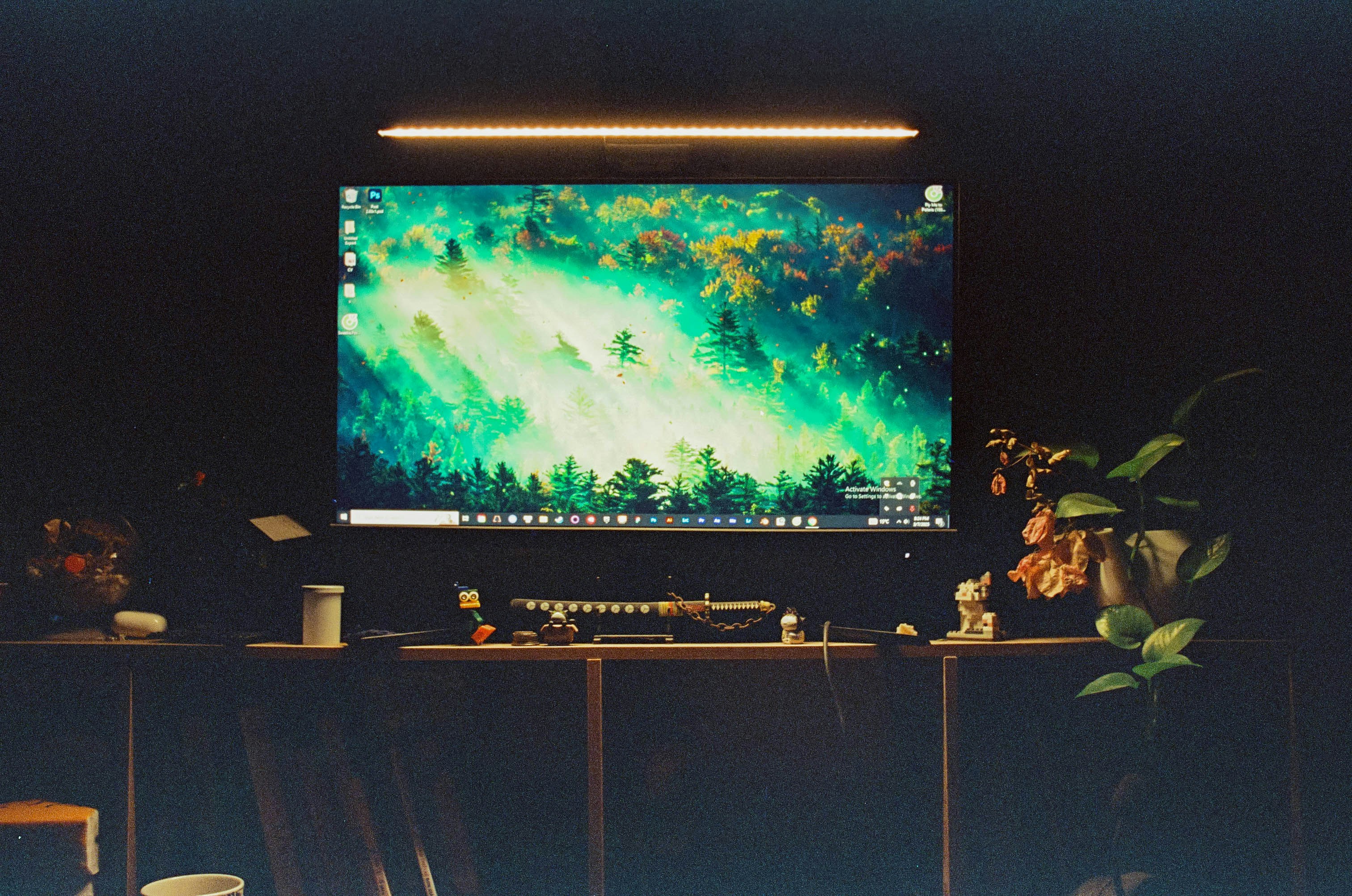 OLED TV Brands by TV Brands A computer displays a bright forest scene.